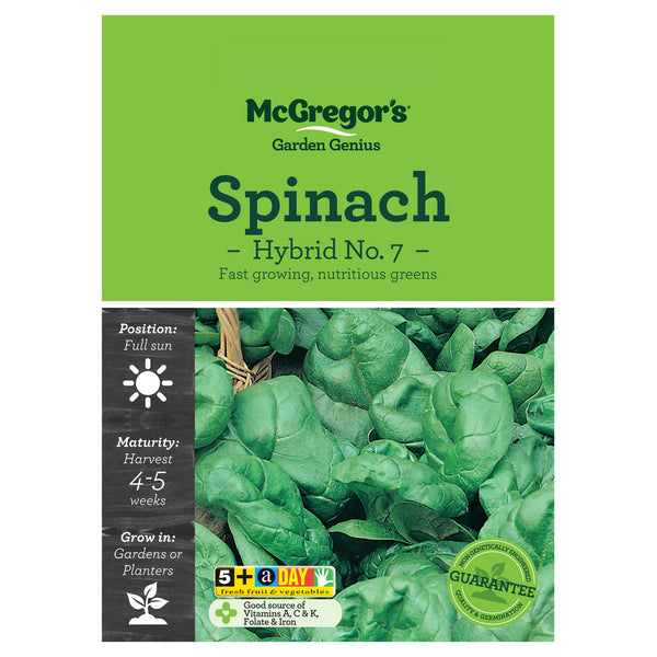 Spinach Seeds - Vegetable