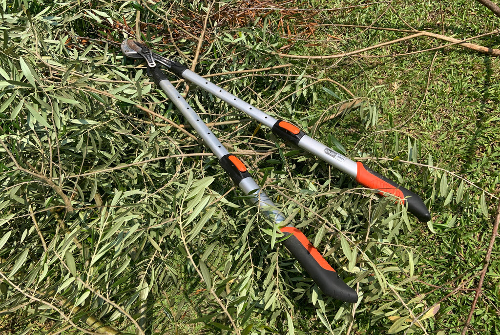 The Pruning Tools You Need