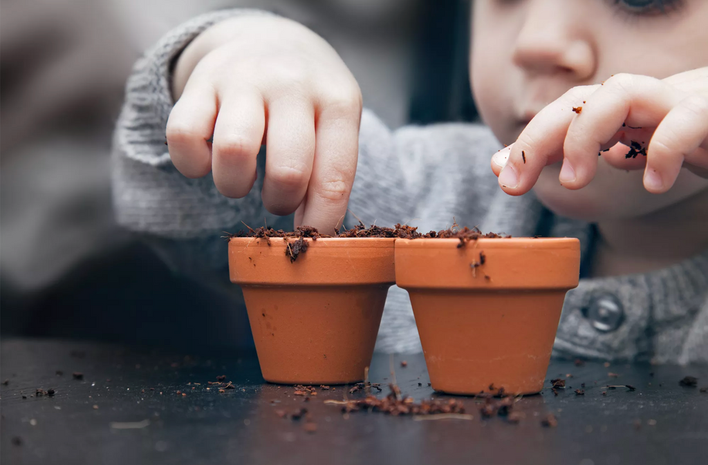 DIY plantable seed paper!