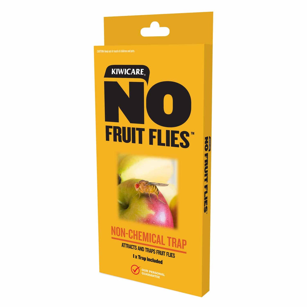 NO Fruit Flies Non Chemical Trap