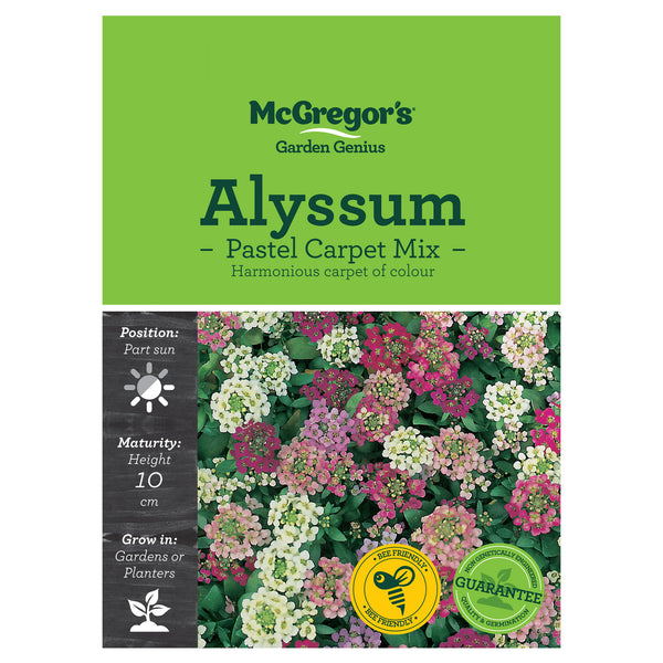 Pastel Carpet Alyssum Mix Seeds - Flowers
