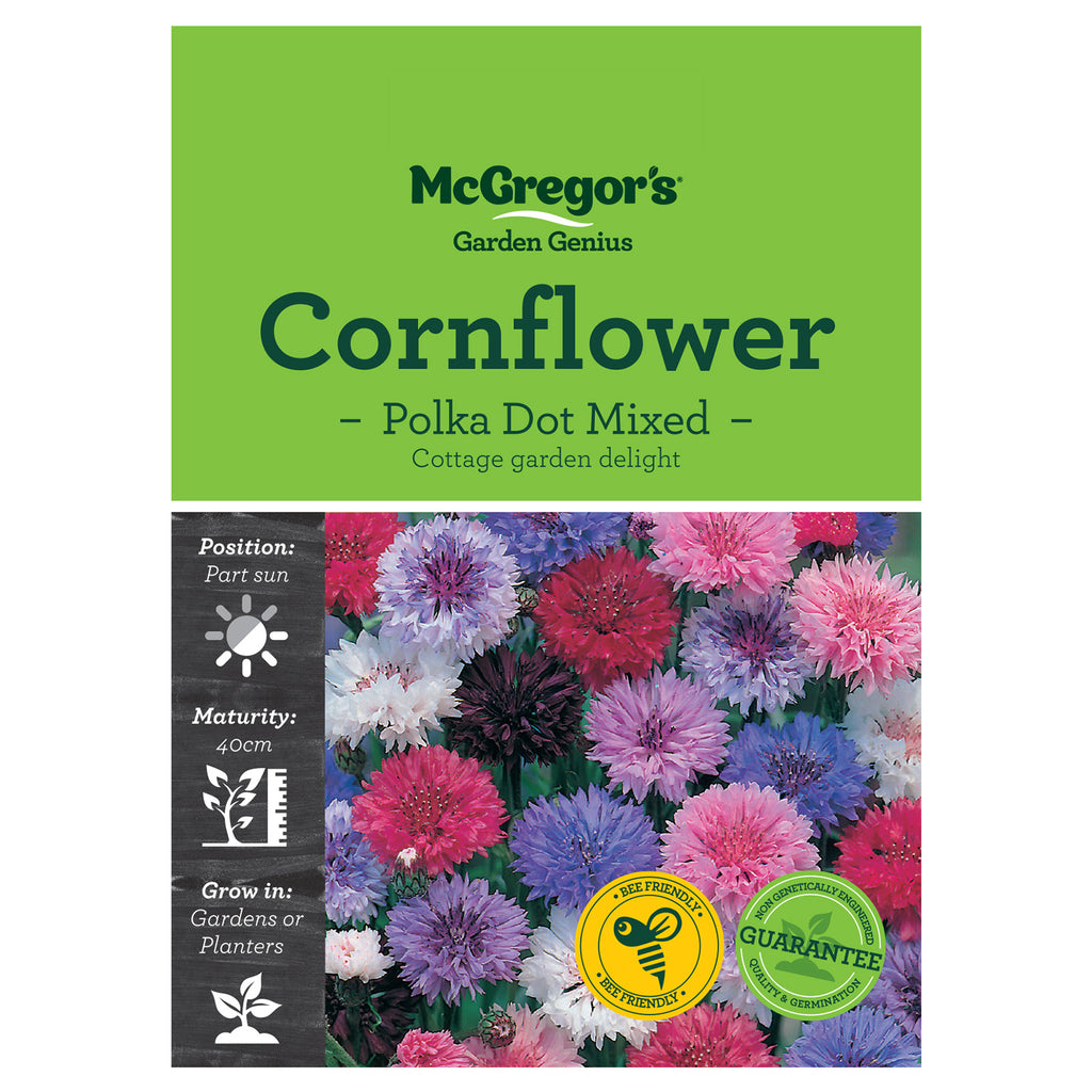 Polka Dot Cornflower Mixed Seeds - Flowers
