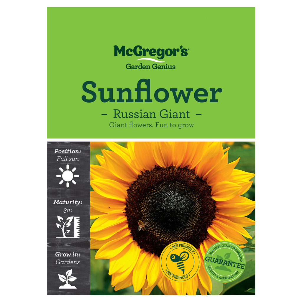 Russian Giant Sunflower Seeds - Flowers