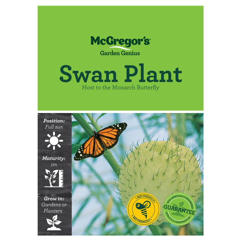 Swan Plant Seeds - Flowers
