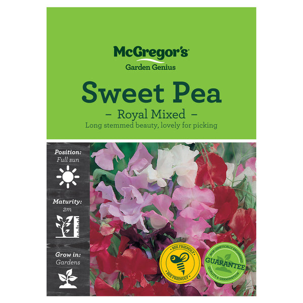 Royal Sweet Pea Mixed Seeds - Flowers