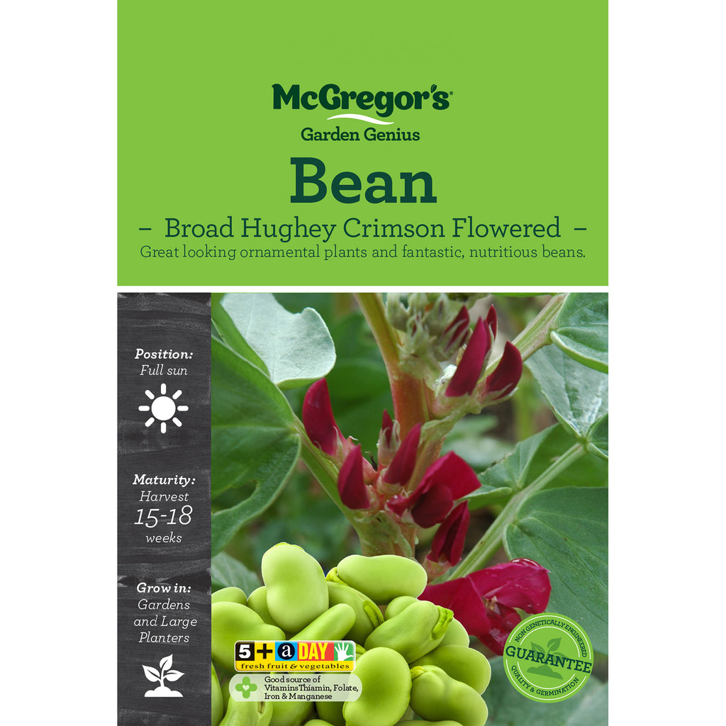 Bean Seed - Hughey Crimson