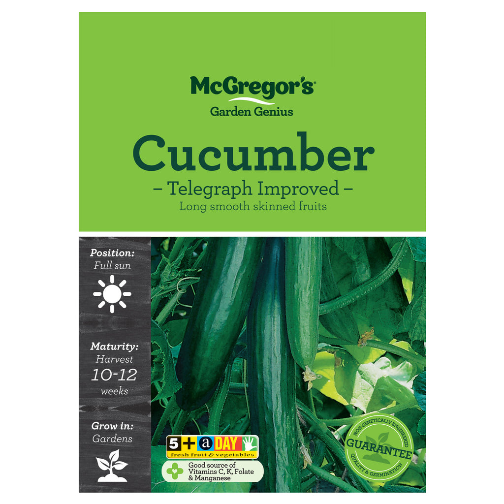 Improved Telegraph Cucumber Seeds - Vegetable
