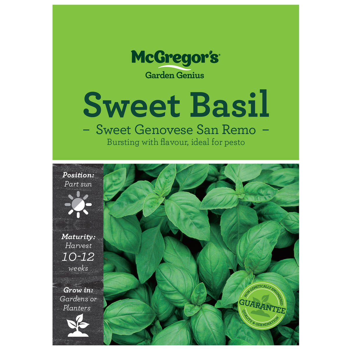 McGregor s Basil Sweet Genovese San Remo Pesto Seed Backyard Living