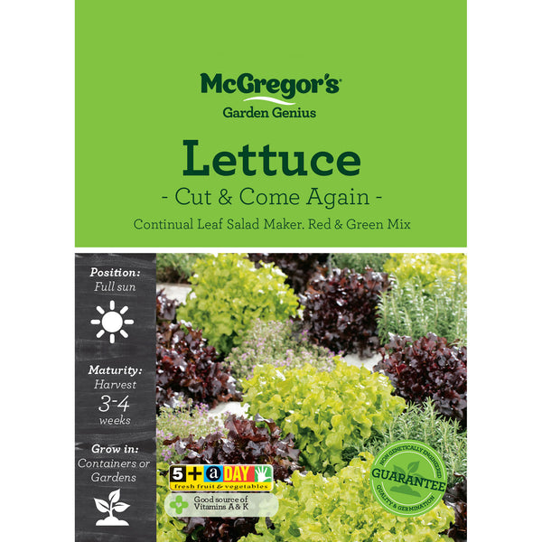 Lettuce Seed - Cut and Come Again
